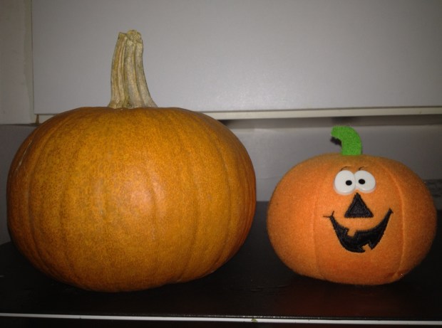 Once again, I'm all in for Halloween! (Photo: DY, 2013)