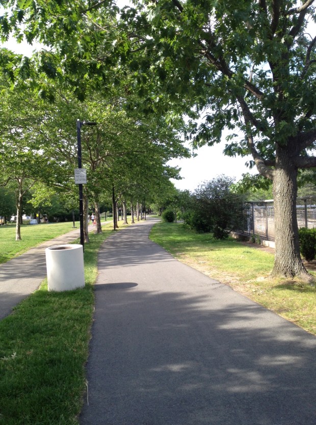 SW Corridor Park, Jamaica Plain, Boston (photo: DY, June 2015)