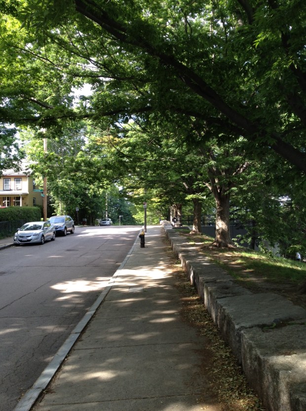 SW Corridor Park, Jamaica Plain, Boston (photo: DY, June 2015)