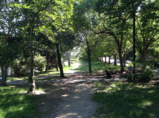SW Corridor Park, Jamaica Plain, Boston (photo: DY, June 2015)