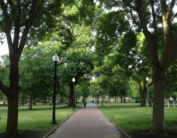 Boston Common (photo: DY)